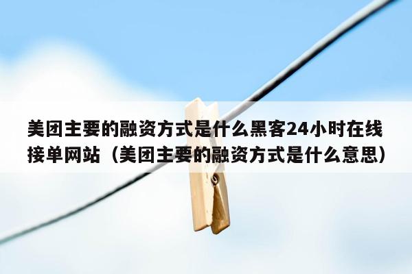 美团主要的融资方式是什么黑客24小时在线接单网站（美团主要的融资方式是什么意思）