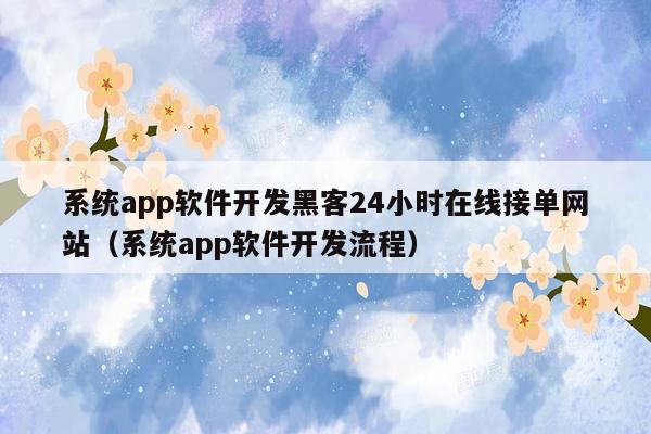 系统app软件开发黑客24小时在线接单网站（系统app软件开发流程）