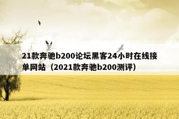 21款奔驰b200论坛黑客24小时在线接单网站（2021款奔驰b200测评）