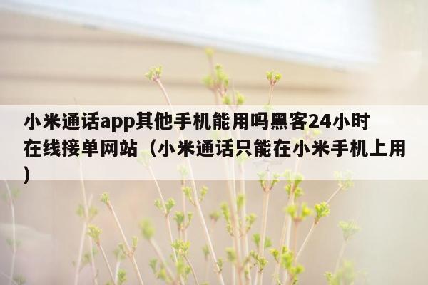 小米通话app其他手机能用吗黑客24小时在线接单网站（小米通话只能在小米手机上用）