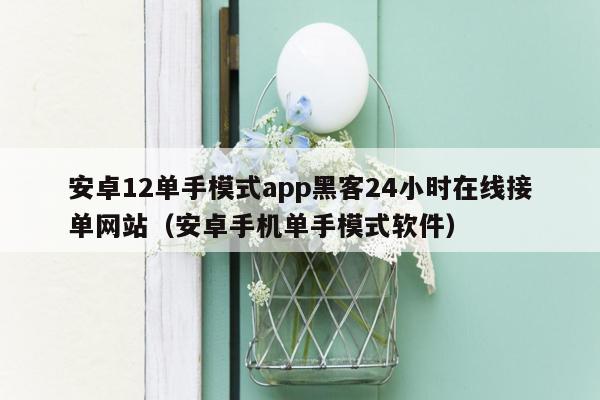 安卓12单手模式app黑客24小时在线接单网站（安卓手机单手模式软件）