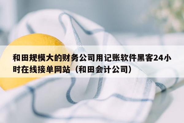 和田规模大的财务公司用记账软件黑客24小时在线接单网站（和田会计公司）