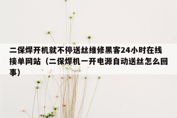 二保焊开机就不停送丝维修黑客24小时在线接单网站（二保焊机一开电源自动送丝怎么回事）