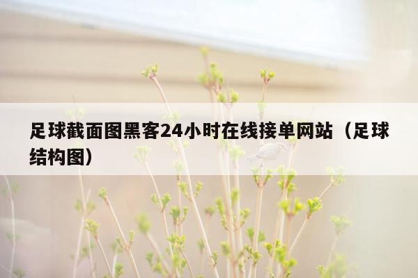 足球截面图黑客24小时在线接单网站（足球结构图）