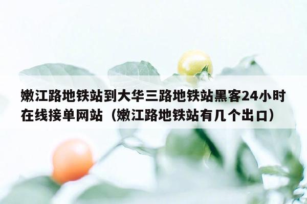 嫩江路地铁站到大华三路地铁站黑客24小时在线接单网站（嫩江路地铁站有几个出口）