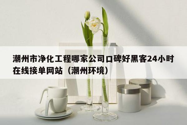 潮州市净化工程哪家公司口碑好黑客24小时在线接单网站（潮州环境）