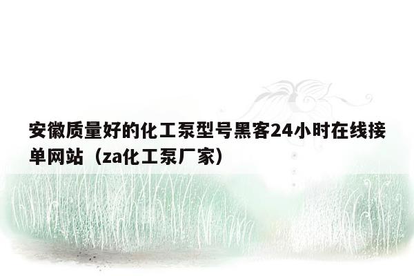 安徽质量好的化工泵型号黑客24小时在线接单网站（za化工泵厂家）