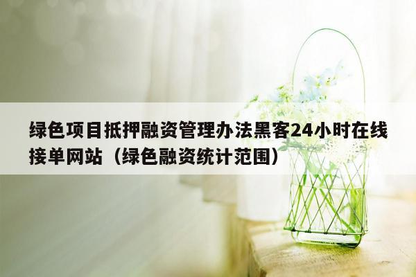 绿色项目抵押融资管理办法黑客24小时在线接单网站（绿色融资统计范围）