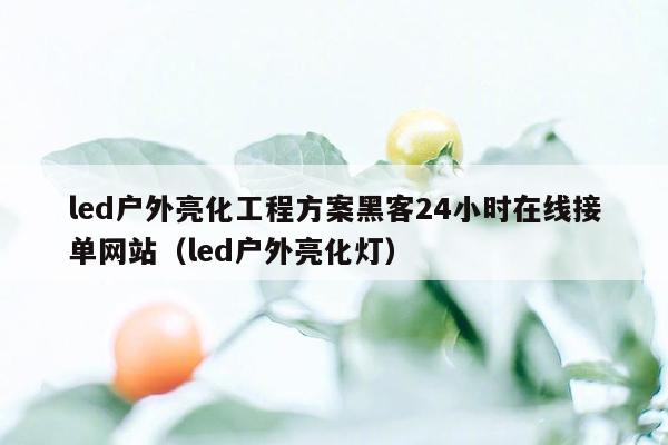 led户外亮化工程方案黑客24小时在线接单网站（led户外亮化灯）