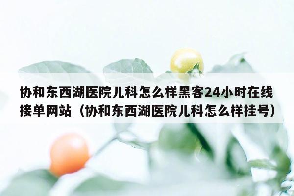 协和东西湖医院儿科怎么样黑客24小时在线接单网站（协和东西湖医院儿科怎么样挂号）