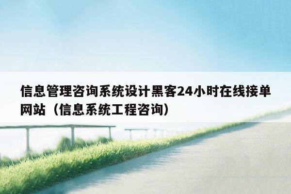 信息管理咨询系统设计黑客24小时在线接单网站（信息系统工程咨询）