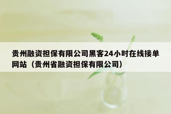 贵州融资担保有限公司黑客24小时在线接单网站（贵州省融资担保有限公司）