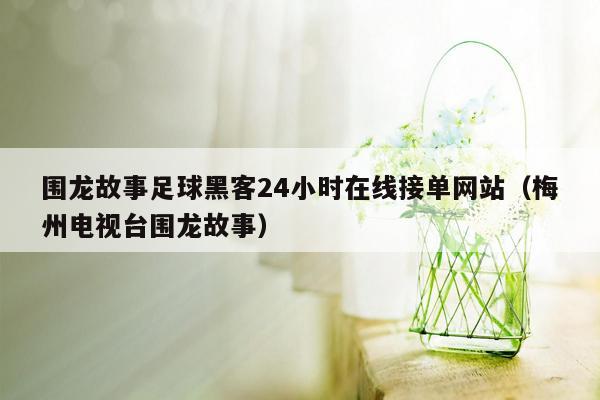 围龙故事足球黑客24小时在线接单网站（梅州电视台围龙故事）