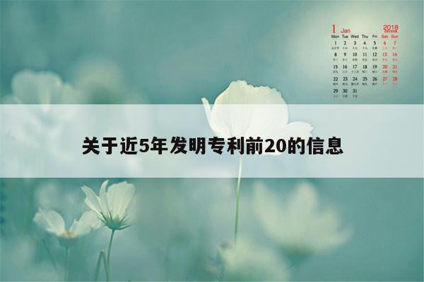 关于近5年发明专利前20的信息