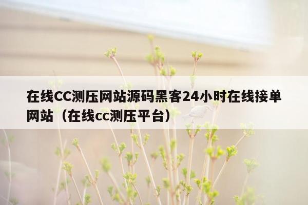 在线CC测压网站源码黑客24小时在线接单网站（在线cc测压平台）