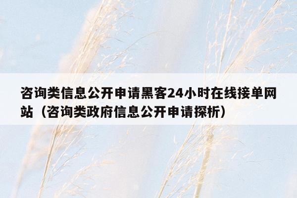 咨询类信息公开申请黑客24小时在线接单网站（咨询类政府信息公开申请探析）