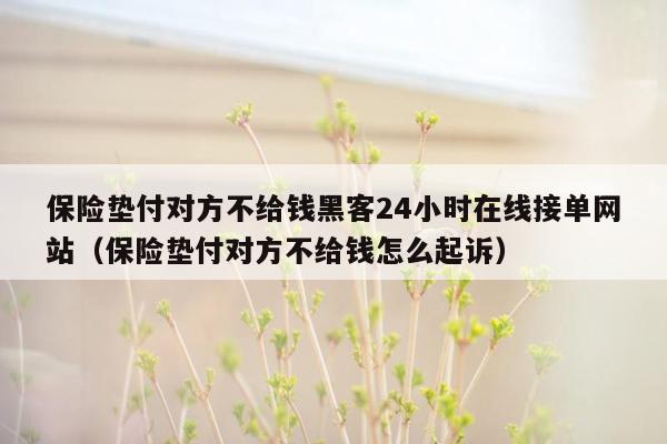 保险垫付对方不给钱黑客24小时在线接单网站（保险垫付对方不给钱怎么起诉）