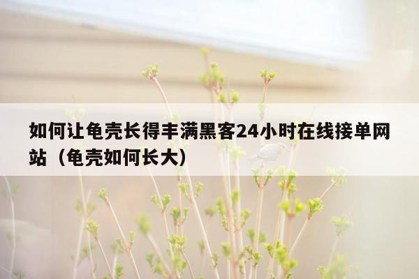 如何让龟壳长得丰满黑客24小时在线接单网站（龟壳如何长大）