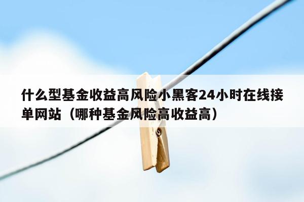 什么型基金收益高风险小黑客24小时在线接单网站（哪种基金风险高收益高）