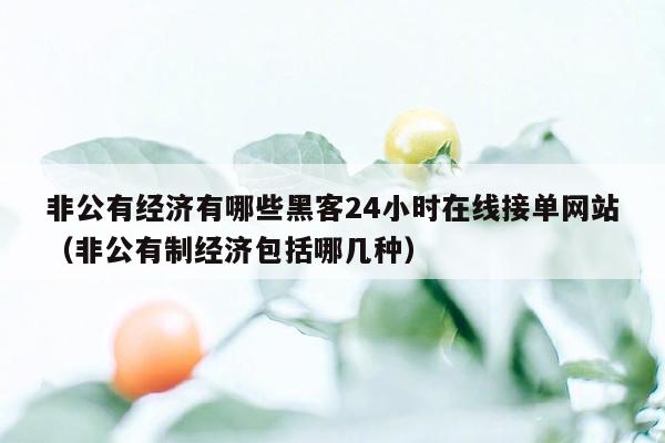 非公有经济有哪些黑客24小时在线接单网站（非公有制经济包括哪几种）