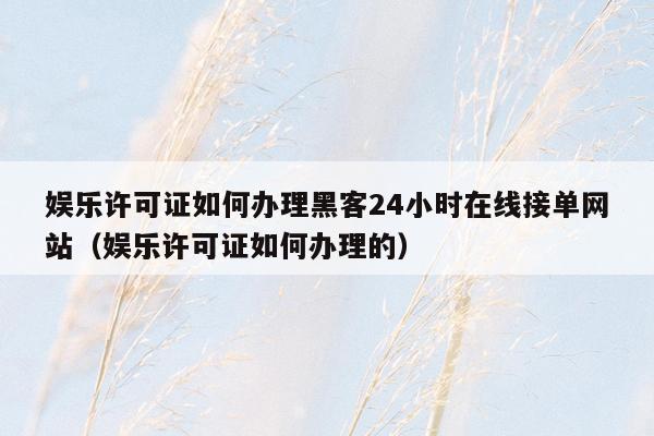 娱乐许可证如何办理黑客24小时在线接单网站（娱乐许可证如何办理的）