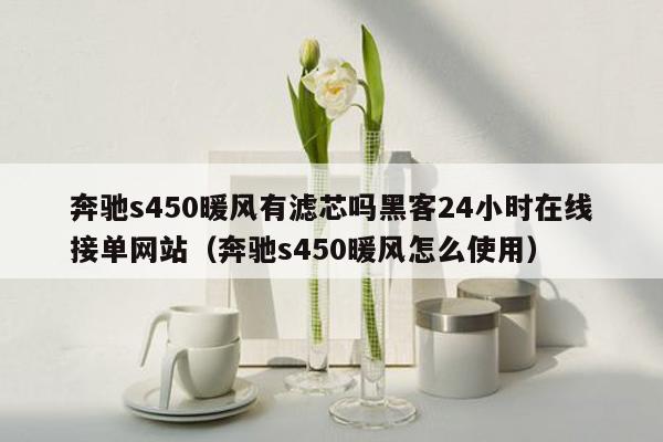 奔驰s450暖风有滤芯吗黑客24小时在线接单网站（奔驰s450暖风怎么使用）