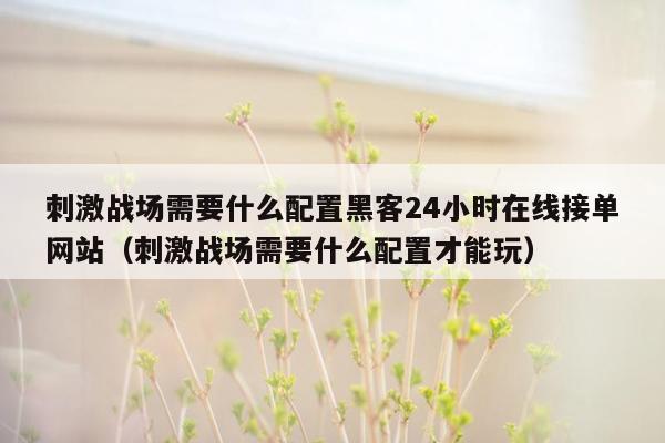 刺激战场需要什么配置黑客24小时在线接单网站（刺激战场需要什么配置才能玩）