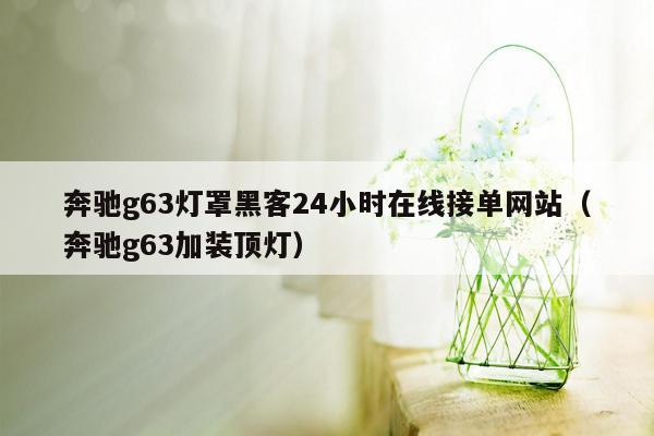 奔驰g63灯罩黑客24小时在线接单网站（奔驰g63加装顶灯）