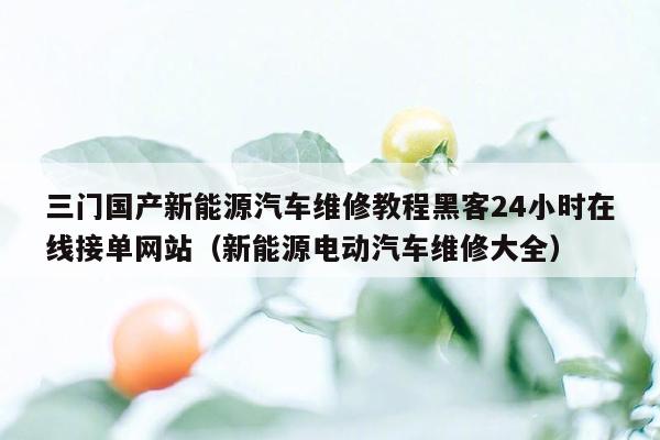 三门国产新能源汽车维修教程黑客24小时在线接单网站（新能源电动汽车维修大全）