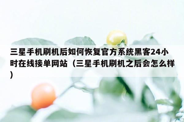 三星手机刷机后如何恢复官方系统黑客24小时在线接单网站（三星手机刷机之后会怎么样）