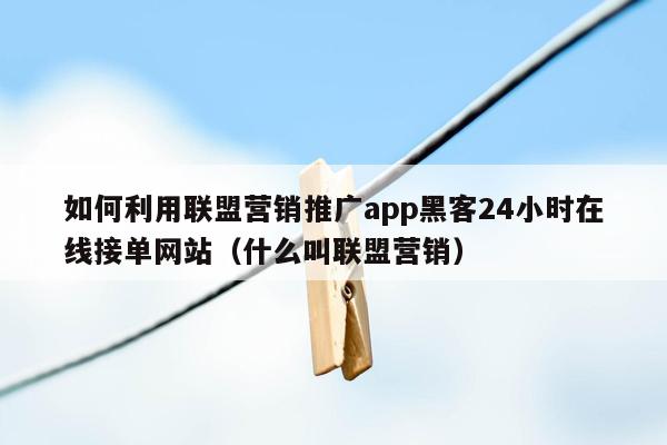 如何利用联盟营销推广app黑客24小时在线接单网站（什么叫联盟营销）