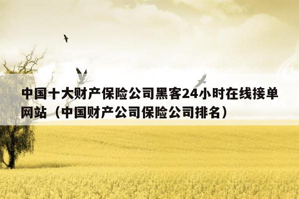 中国十大财产保险公司黑客24小时在线接单网站（中国财产公司保险公司排名）