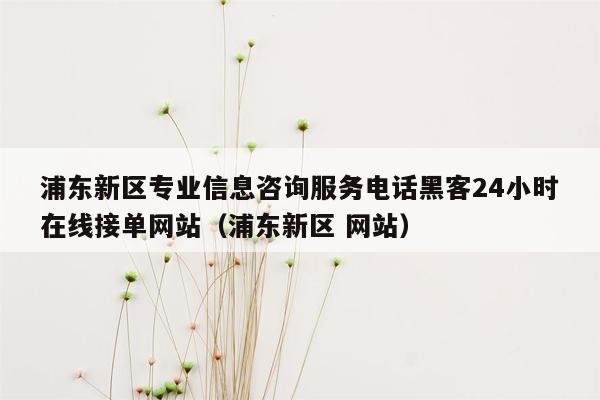 浦东新区专业信息咨询服务电话黑客24小时在线接单网站（浦东新区 网站）