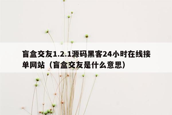 盲盒交友1.2.1源码黑客24小时在线接单网站（盲盒交友是什么意思）