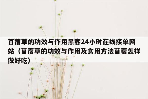 苜蓿草的功效与作用黑客24小时在线接单网站（苜蓿草的功效与作用及食用方法苜蓿怎样做好吃）