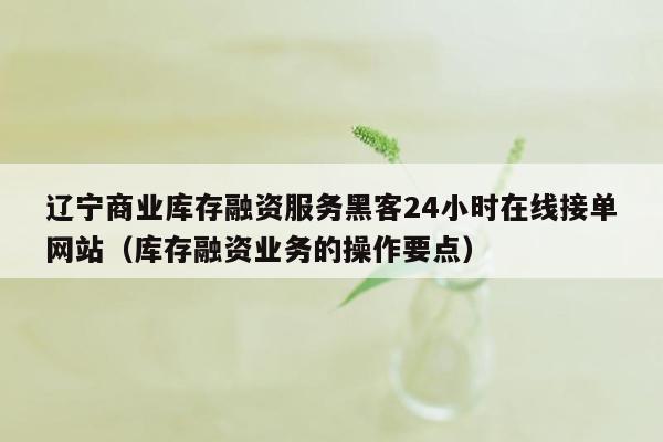 辽宁商业库存融资服务黑客24小时在线接单网站（库存融资业务的操作要点）