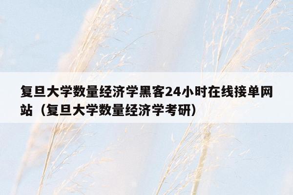 复旦大学数量经济学黑客24小时在线接单网站（复旦大学数量经济学考研）