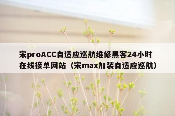 宋proACC自适应巡航维修黑客24小时在线接单网站（宋max加装自适应巡航）