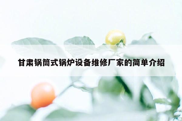 甘肃锅筒式锅炉设备维修厂家的简单介绍