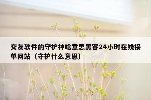 交友软件的守护神啥意思黑客24小时在线接单网站（守护什么意思）