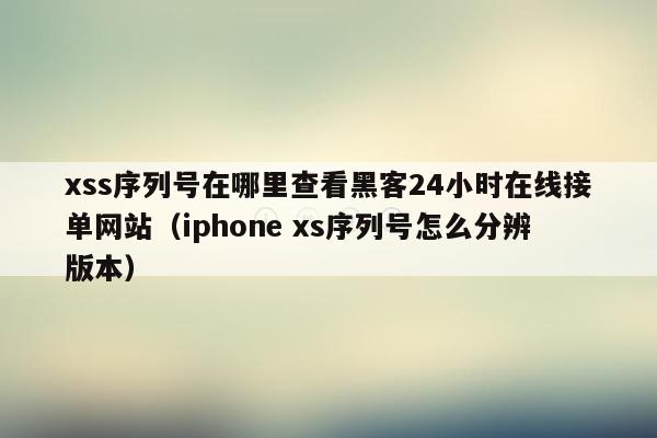 xss序列号在哪里查看黑客24小时在线接单网站（iphone xs序列号怎么分辨版本）