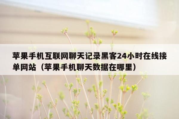 苹果手机互联网聊天记录黑客24小时在线接单网站（苹果手机聊天数据在哪里）