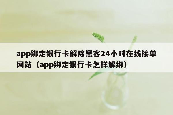 app绑定银行卡解除黑客24小时在线接单网站（app绑定银行卡怎样解绑）