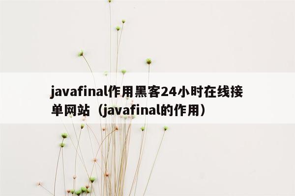 javafinal作用黑客24小时在线接单网站（javafinal的作用）