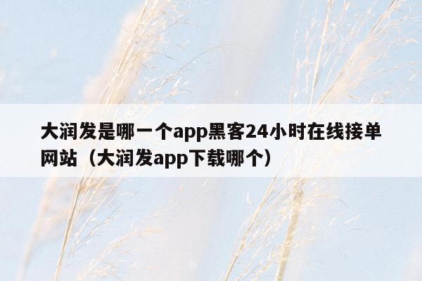 大润发是哪一个app黑客24小时在线接单网站（大润发app下载哪个）