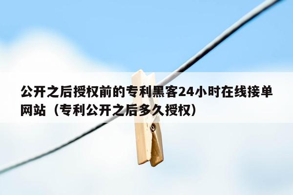 公开之后授权前的专利黑客24小时在线接单网站（专利公开之后多久授权）