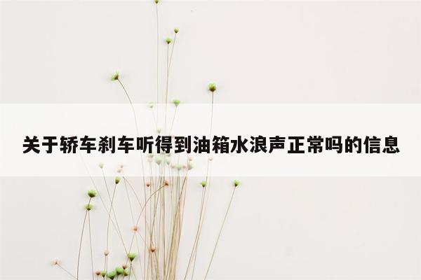 关于轿车刹车听得到油箱水浪声正常吗的信息