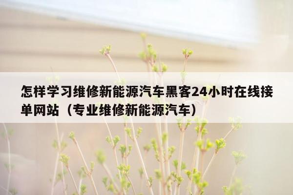 怎样学习维修新能源汽车黑客24小时在线接单网站（专业维修新能源汽车）