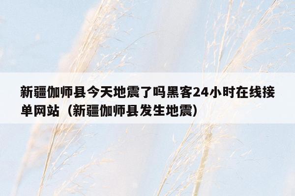 新疆伽师县今天地震了吗黑客24小时在线接单网站（新疆伽师县发生地震）