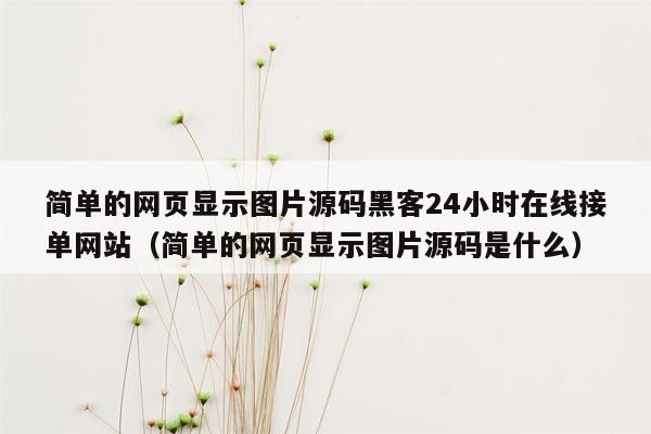 简单的网页显示图片源码黑客24小时在线接单网站（简单的网页显示图片源码是什么）